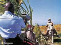 Libre circulation des motocross en ville ?